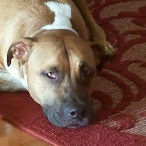 Meet your Posher, Yolanda